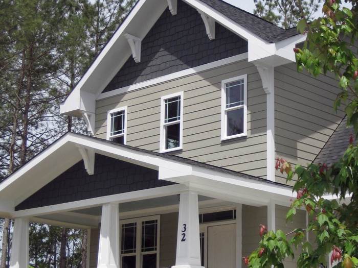 Vinyl Siding Contractor Near Me - Select The Best Siding- #1